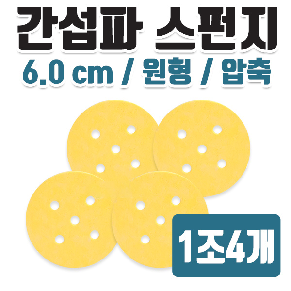 간섭파 스펀지 6.0.jpg