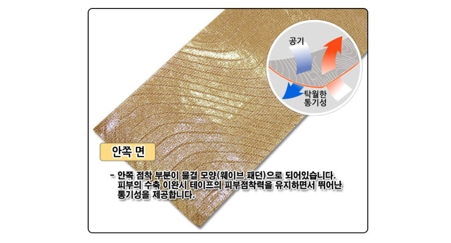 안진 키네시올로지 설명.JPG