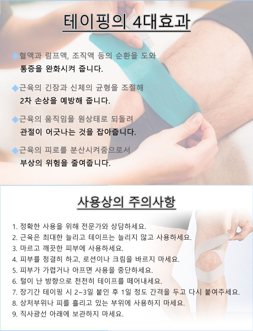 키네시올로지 설명.JPG